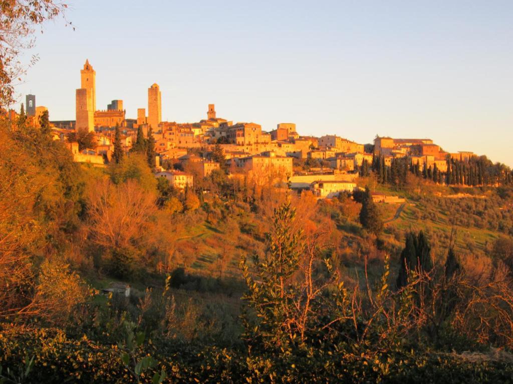 Agriturismo Il Colto サン・ジミニャーノ エクステリア 写真